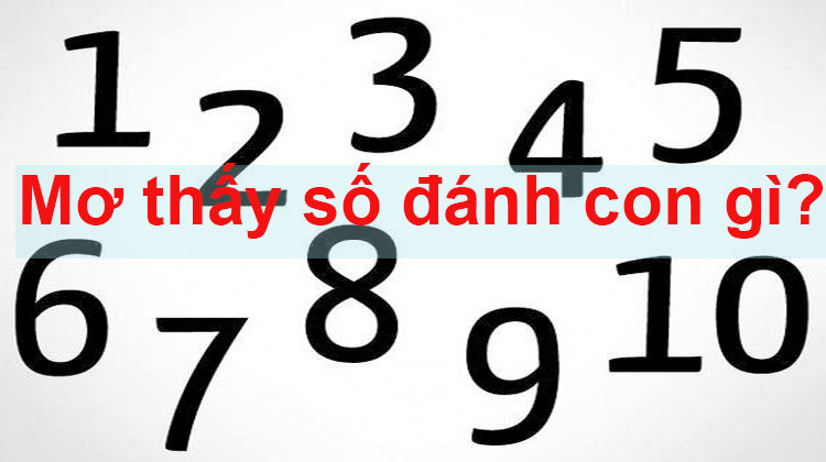 Mơ thấy số 9 thì đánh số nào Mơ thấy số 9 thì đánh số nào